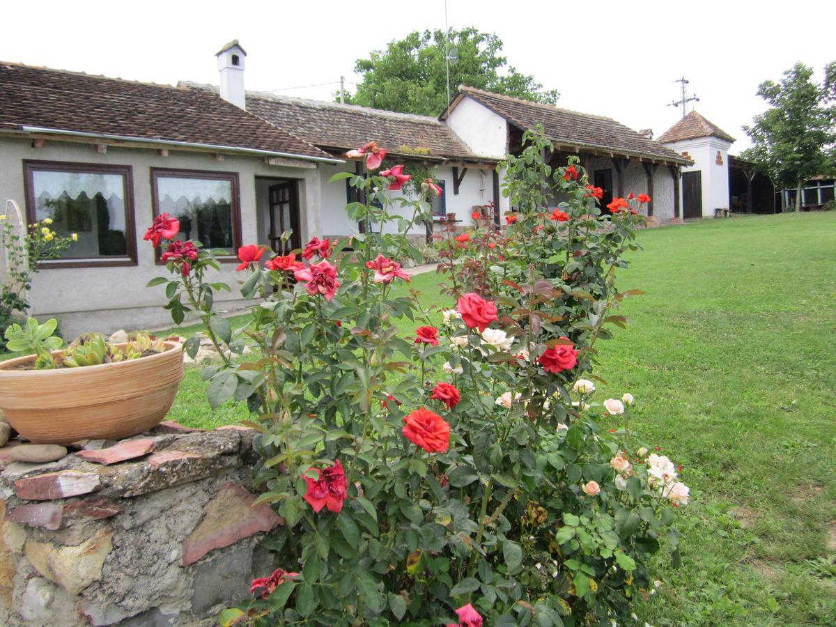 Guest House Vila Albedo Varna Εξωτερικό φωτογραφία