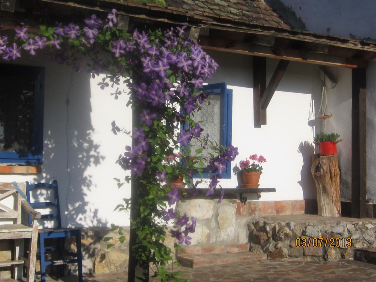 Guest House Vila Albedo Varna Εξωτερικό φωτογραφία